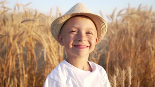 Baby Boy Stands in Straw Hat in Field Against Background of Harvest of Golden Wheat Spikelets and