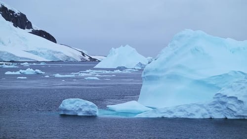Eis und Eisberge schwimmen auf dem Meer in der Antarktis, viele kleine Eisstücke auf dem Blau