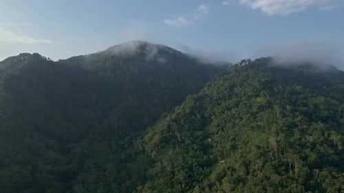 Luftbild des Bergwaldes vor blauem Himmel am sonnigen Morgen. Drohnenaufnahme des tropischen Regenwaldes auf t