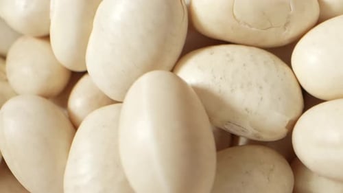 White kidney beans' intricate textures, a nutritious glimpse.