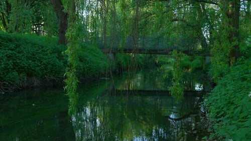 Tranquil River Reflections in Riverside Park, Southampton