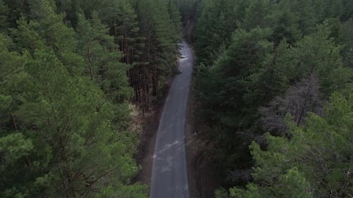 Runter zur Waldstraße