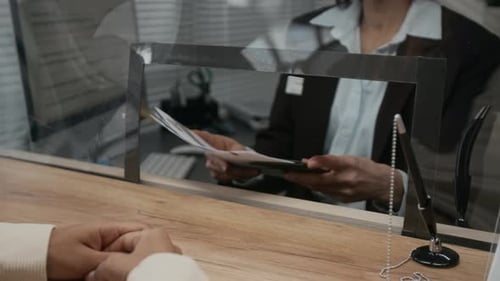Female Visa Agency Customer Handing Documents to Smiling Clerk
