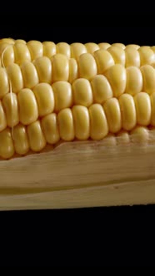 Close up of an ear of corn