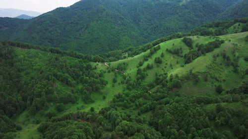Aerial view of lush green mountains, Montenegro.