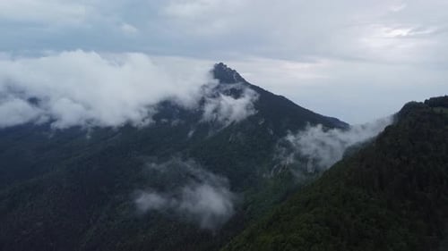 A Panoramic View of a Misty Mystical Alpine Landscape with Dense Forests
