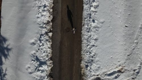 Walking Snow