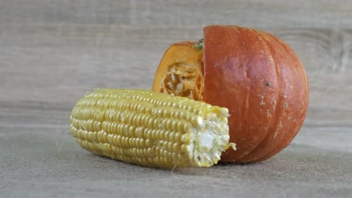 Fresh Pumpkin and Corn on Display