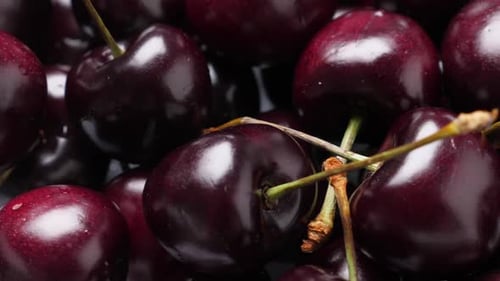 Viele rote und reife Kirschen rotieren