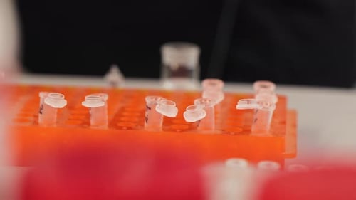 Lab Close-Up: Pipette Fills Test Tubes