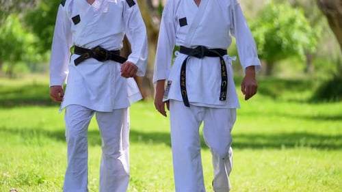 Karate players