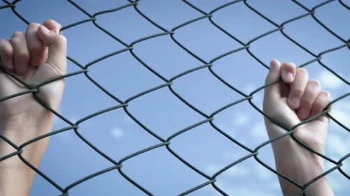 Arms Grabbing Chain Link Fence with Blue Sky
