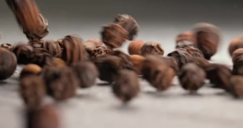 Peppercorns or black pepper spice. Super Macro Close Up.