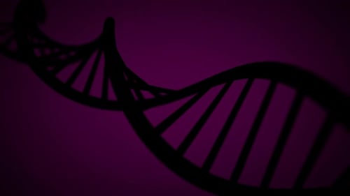 Red Dna
