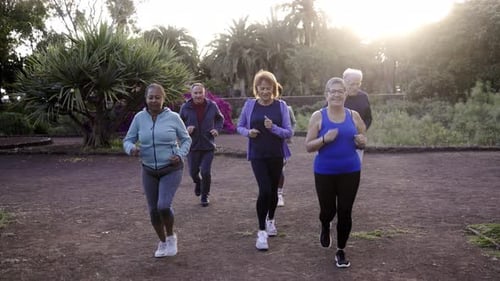 Group of sport senior people workout running outdoors at park city - Elderly community health concep