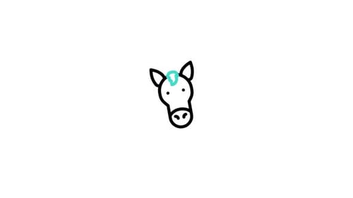 Sketchy Horse Head Line Drawing Animation