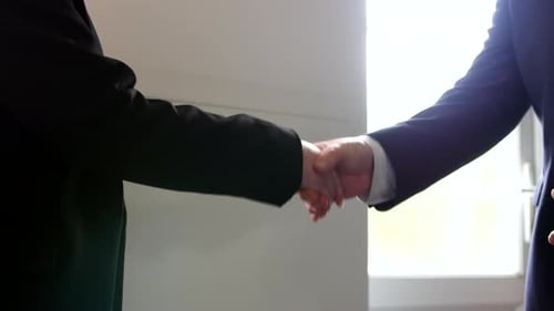 Business Man and Woman Shaking Hands Office.