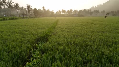 Morning atmosphere in Tempos hamlet