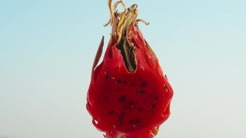 Close-Up of Vibrant Red Dragon Fruit