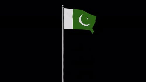 Pakistan National Flag Waving on Transparent Background