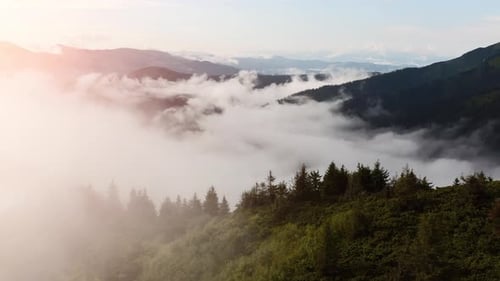 Majestic Carpathian Mountains. Beautiful landscape of untouched nature
