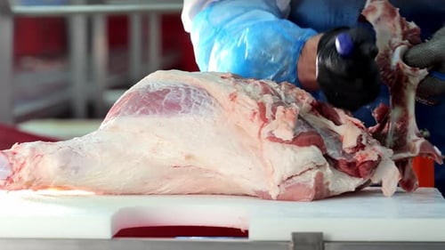Gloved Worker Cutting Raw Meat With Knife