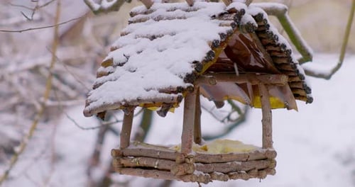 SnowCovered Bird Feeder in Winter Garden Setting