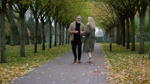 Happy elderly couple walking holding hands in beautiful autumn foliage park