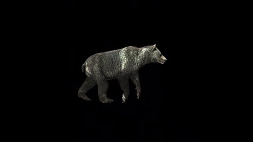 Animated Brown Bear Walking 3D Model