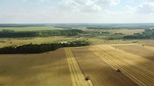 Harvester Machine to Harvest Wheat Field Working