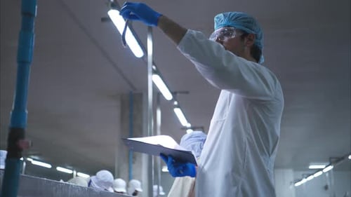 Les inspecteurs de la qualité des matières premières évaluent et inspectent les morceaux de poisson
