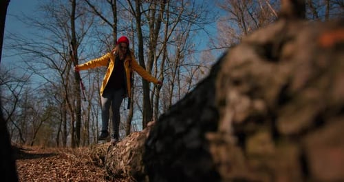 Backpacker Hiker Girl with Hiking Poles Walking Between Trees in a Mountain Forest Hispanic Teenager