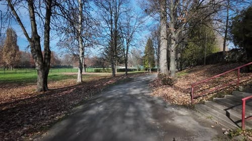 Quiet park path in late autumn