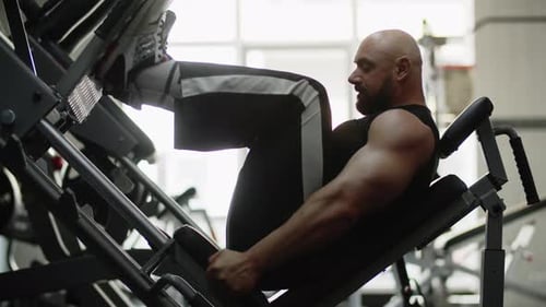 Man Bodybuilder Sideways in the Gym Training on the Machine Concentratedly Exercise for Leg Strength