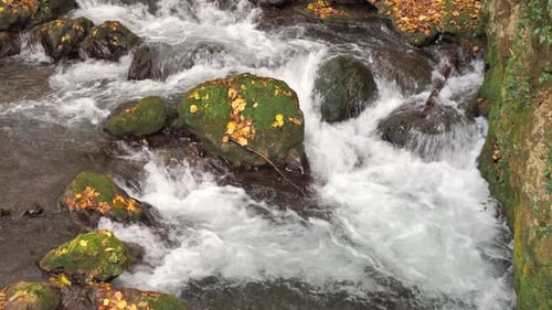 Extreme Close Up of Small Mountain Stream and Little Waterfall on the Background