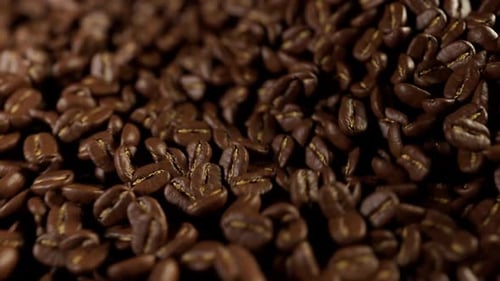 Roasted Coffee Beans Swirling in a Seamless Loop