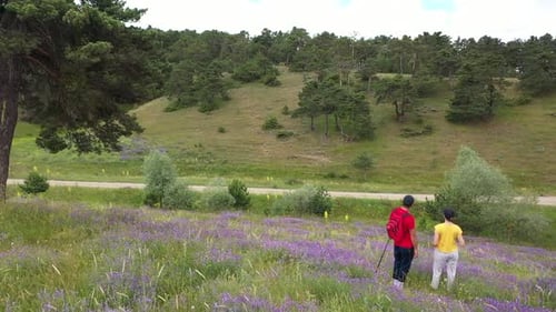Aerial View Of Couple Traveling In The Forest