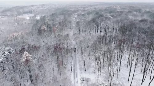 Vista aérea del bosque blanco congelado en invierno, Polonia.