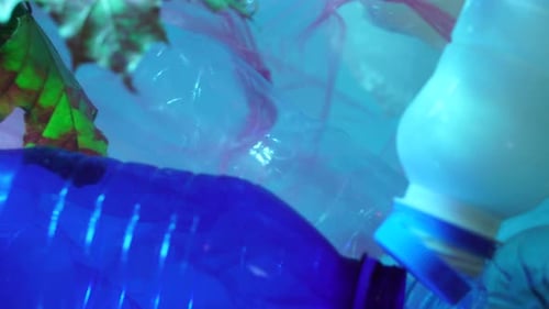 Plastic Waste and Tree Leaves in Water Under Sun Rays, Close Up