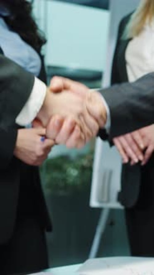 Vertical Screen Business Partners Shaking Hands After Making Deal