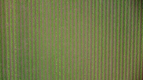 Top down agriculture field