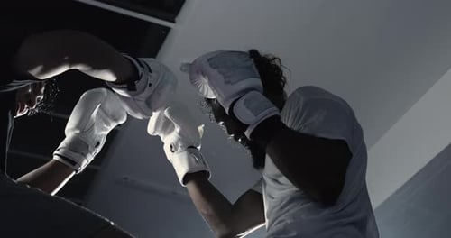 Low-angle shot of fighters punching and kicking each other in slow-motion at 800 fps. Fighters