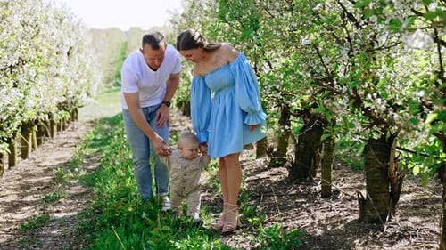 Mom and dad holding their baby stepping by the grass. Child’s first steps outdoors in spring.
