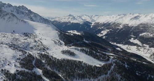Trees Amidst Snowy Mountain Slopes