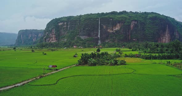 Aerial view of rice fields with a waterfall in the background from a ...