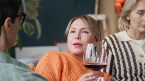 Friends Relaxing at Home Drinking Wine and Chatting