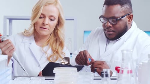 Scientists Collaborate in Modern Laboratory Environment