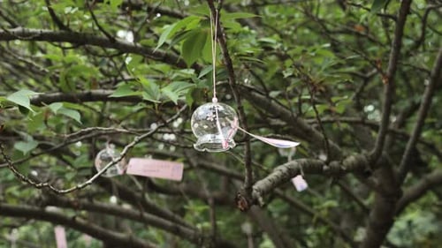 Relaxing Sound of Japanese Glass Wind Chimes