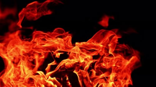 Gefährliche Feuerflammen steigen in die Luft. Feuerzungen überziehen die dunklen Holzstämme
.