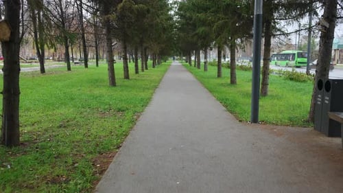 Cozy Park Features Benches and Bins Among Dense Spruces